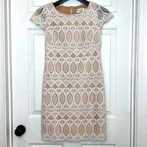 Eliza J Lace Stretch Cap Sleeve Dress Size 2 White Stretch Lace with Nude Lining